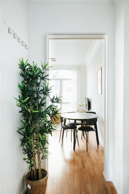 Center Appartement